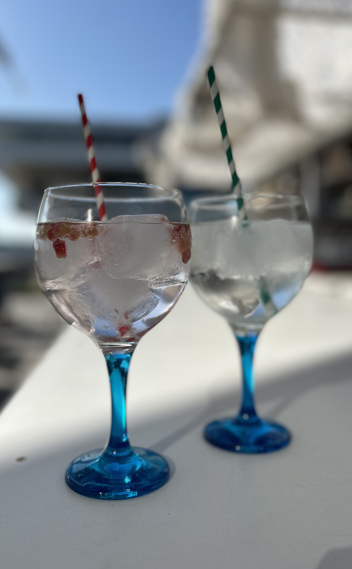 Tardeo en el puerto valencia